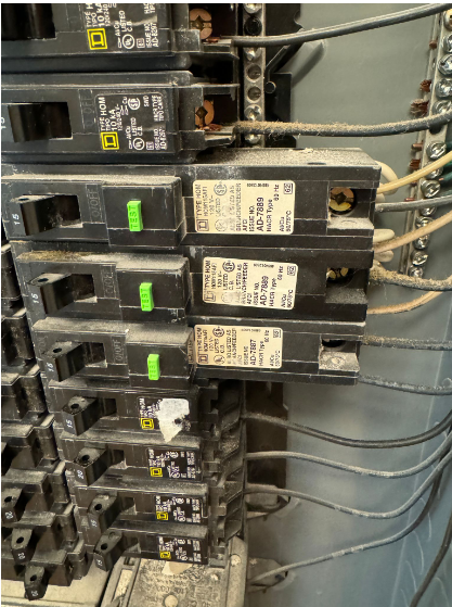 Close-up photograph of AFCI circuit breakers installed in a residential electrical panel